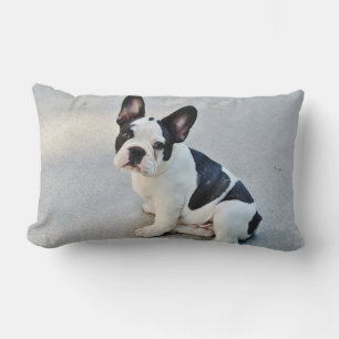 Cute French Bulldog Puppy black white Lumbar Cushion