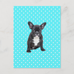 Cute French Bulldog Puppy Blue Polka Dots Postcard