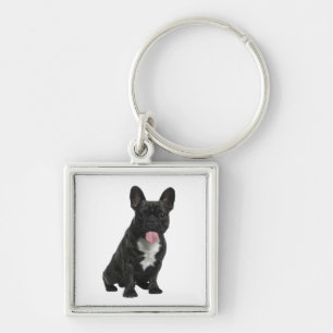 Cute French Bulldog Puppy Dog Keychain