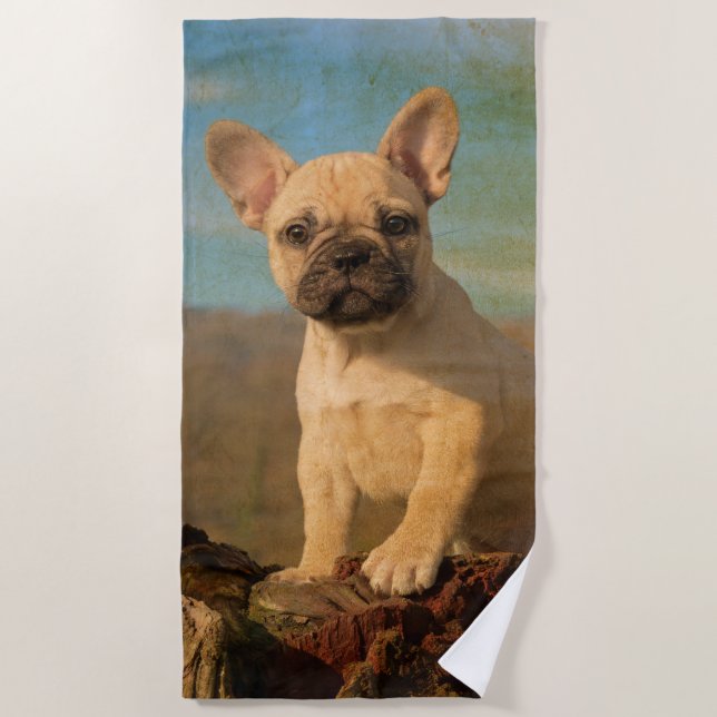 Cute French Bulldog Puppy - Funny Dog Head Photo / Beach Towel (Front)