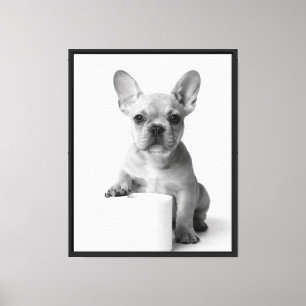 Cute French Bulldog Puppy Guarding Toilet Paper Canvas Print