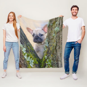 Cute French Bulldog Puppy Posing in a Branch Fork Fleece Blanket