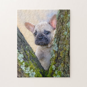 Cute French Bulldog Puppy Posing in a Branch Fork Jigsaw Puzzle