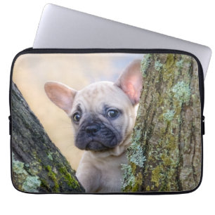 Cute French Bulldog Puppy Posing in a Branch Fork  Laptop Sleeve