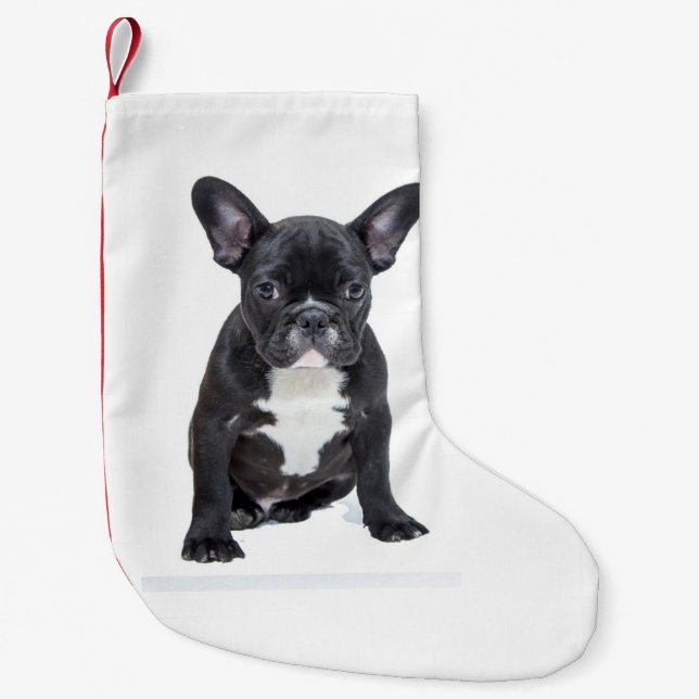 Cute French Bulldog Puppy Small Christmas Stocking (Front)
