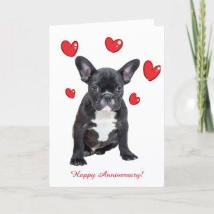 Cute French Bulldog Red Hearts Anniversary Card