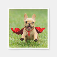 Cute French Bulldog Superhero Runs in Grass