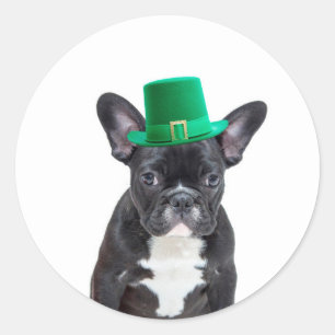 Cute French Bulldog with Hat St. Patrick's Day Classic Round Sticker