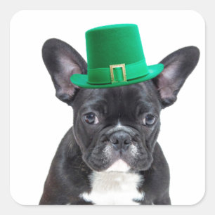 Cute French Bulldog with Hat St. Patrick's Day Square Sticker