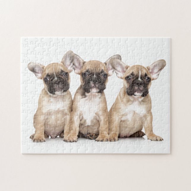 Cute French Bulldogs Jigsaw Puzzle (Horizontal)