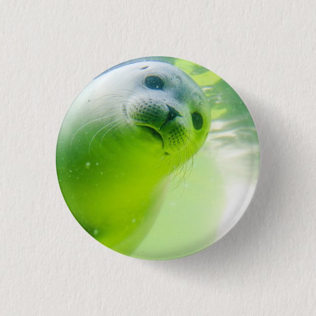 Cute Friendly Seal Underwater 3 Cm Round Badge (Front)