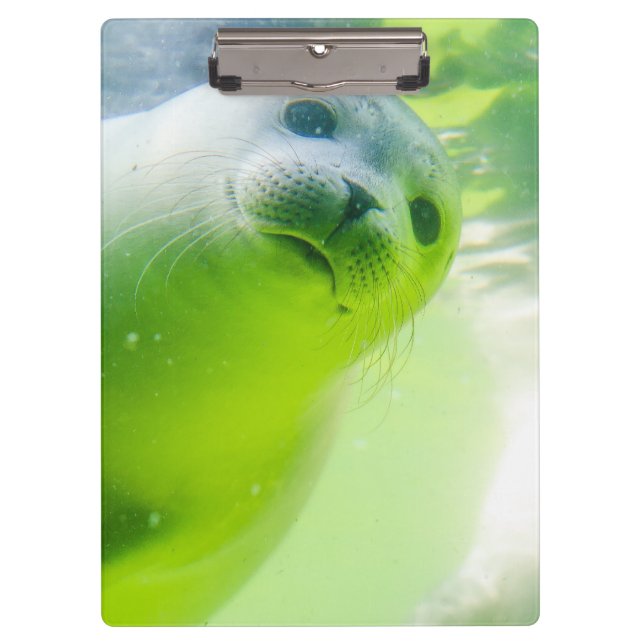 Cute Friendly Seal Underwater Clipboard (Front)