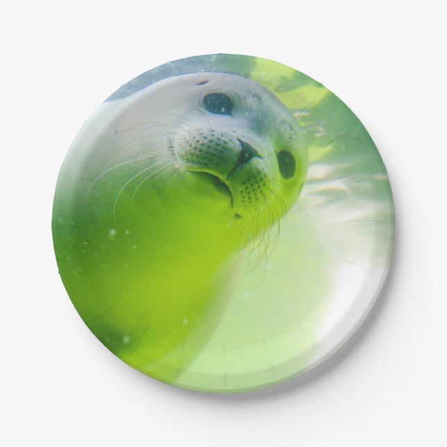 Cute Friendly Seal Underwater Paper Plate (Front)