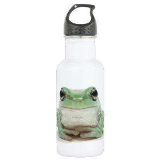 Cute Frog 32 oz. 532 Ml Water Bottle