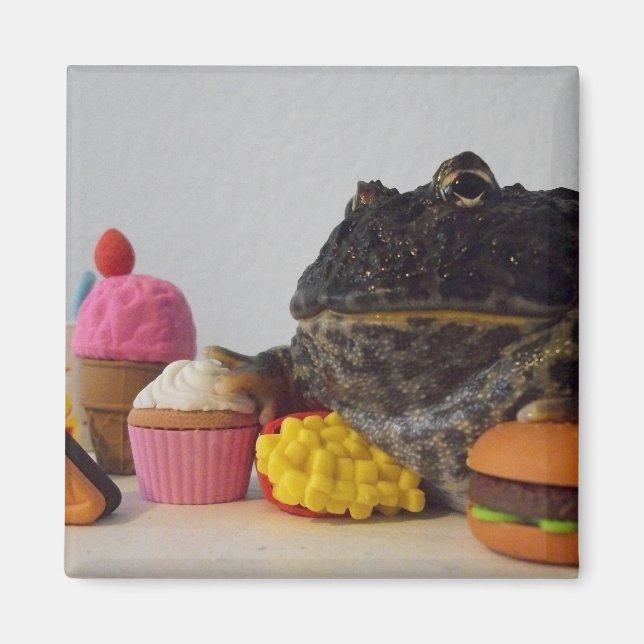Cute Frog Magnet (Front)