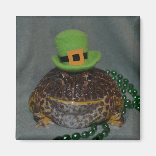 Cute Frog Magnet (Front)