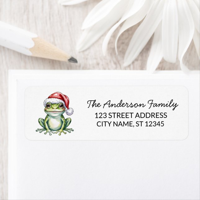  Cute Frog Santa Hat Christmas Return Address (Insitu)