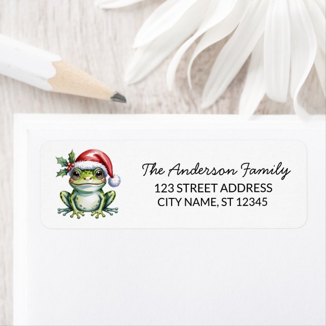  Cute Frog Santa Hat Christmas Return Address (Insitu)
