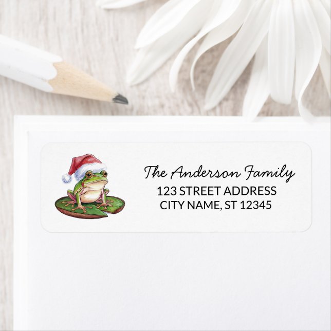  Cute Frog Santa Hat Christmas Return Address (Insitu)