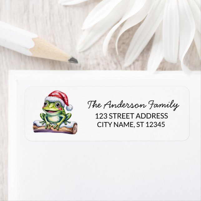  Cute Frog Santa Hat Christmas Return Address (Insitu)
