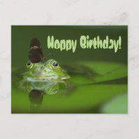 Cute frog with a Butterfly on his nose