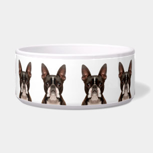 Cute Fun Boston Terrier Dog Breed Pattern