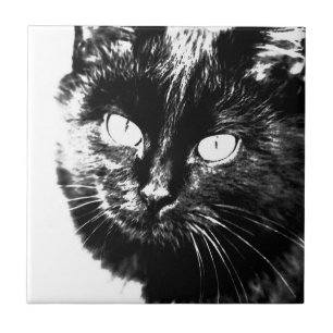 Cute Funky Black And White Cat Kitten Sketch Tile