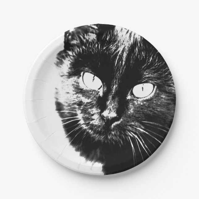 Cute Funky Black Cat Kitten Eyes Sketch Paper Plate (Front)