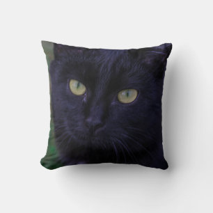 Cute Funky Black Cat Kitten Yellow Eyes Cushion