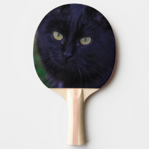 Cute Funky Black Cat Kitten Yellow Eyes Ping Pong Paddle
