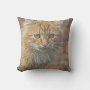 Cute Funky Ginger Cat Kitten Face Cushion