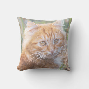 Cute Funky Ginger Cat Kitten Painting Cushion