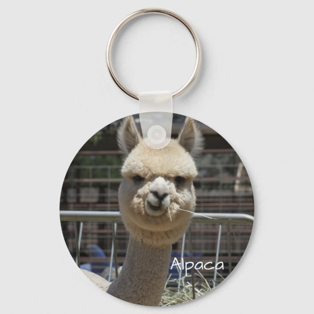 Cute Funny Alpaca Keychain (Front)