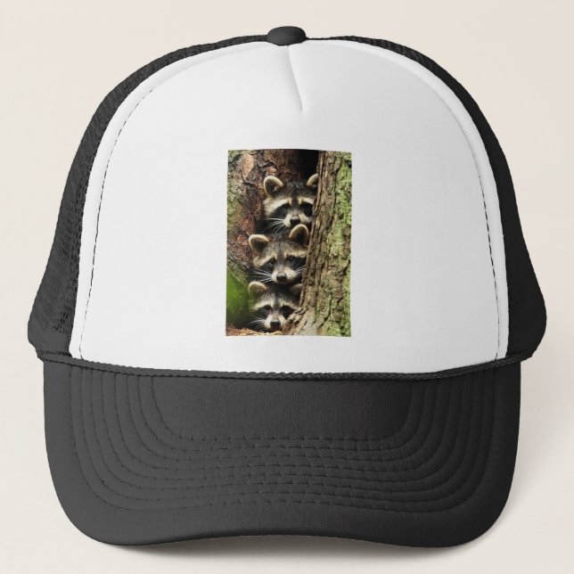 cute_funny_animals_41 Three Raccons Tree trunk Trucker Hat (Front)