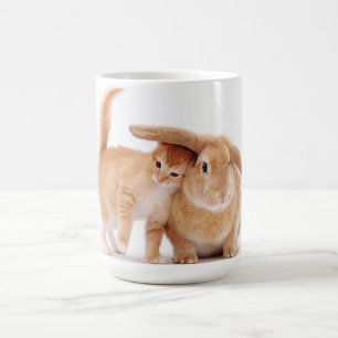 cute_funny_animals_8 kitten bunny rabbit friends coffee mug