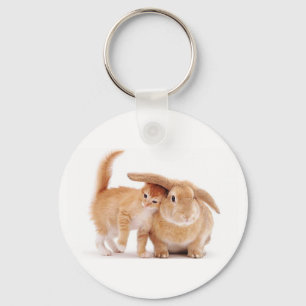 cute_funny_animals_8  kitten bunny rabbit friends  key ring