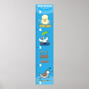 Cute funny birds cartoon growth chart