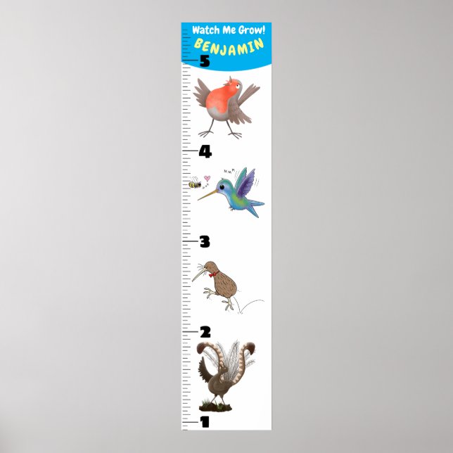 Cute funny birds cartoon poster (Front)