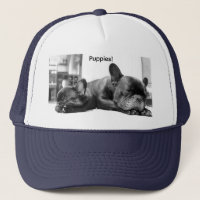 Cute | Funny | Bulldog Puppies Trucker Hat