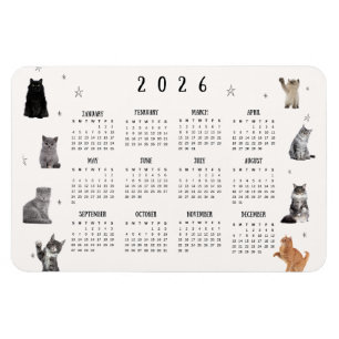 Cute Funny Cat 2026 Calendar Magnet