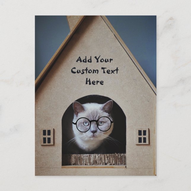 Cute Funny Cat in Glasses Create Your Own Quote Postcard (Front)