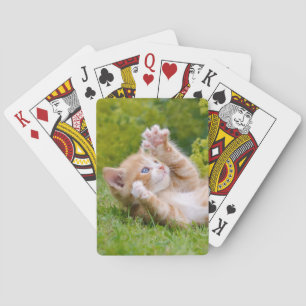 Cute funny cat kitten playing in a flowery garden cards