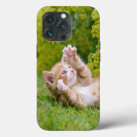Cute funny cat kitten playing in a flowery garden