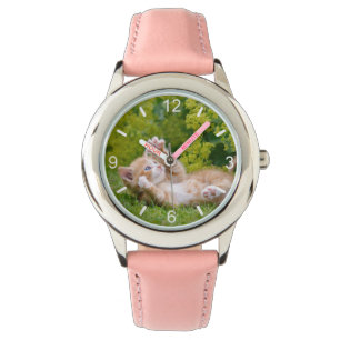 Cute funny cat kitten playing in a flowery garden watch