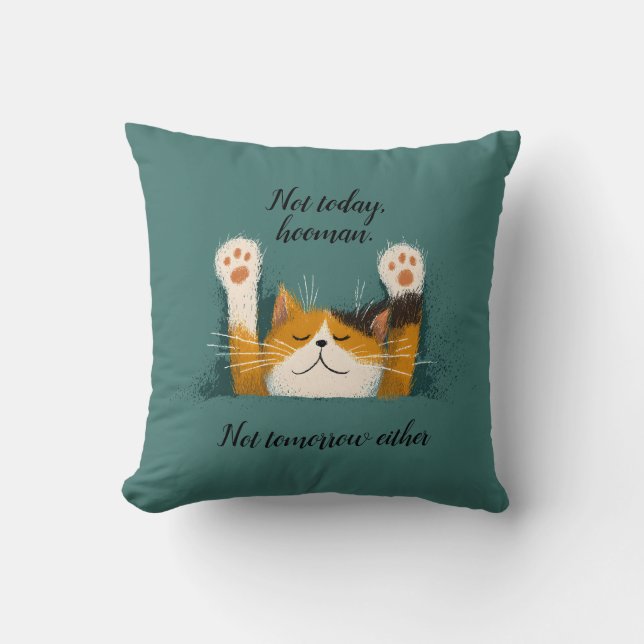 Cute Funny Cat Nap Cushion (Front)