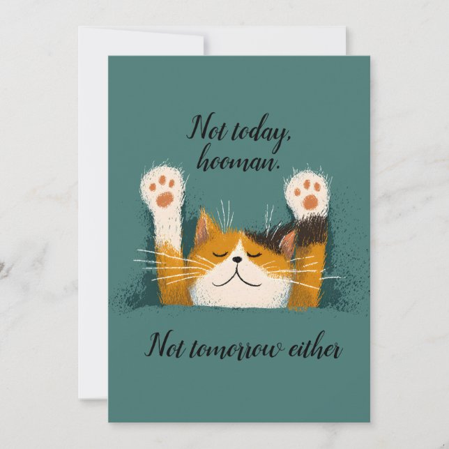 Cute Funny Cat Nap Holiday Card (Front)