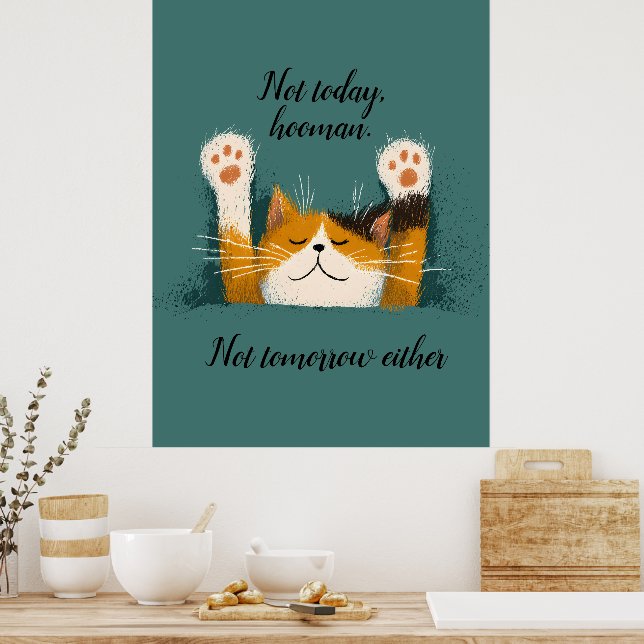Cute Funny Cat Nap Poster (Kitchen)