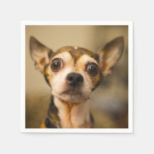 Cute & Funny Chihuahua Dog paper napkins
