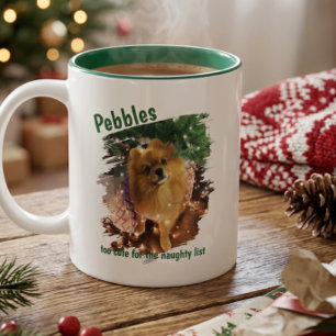 Cute Funny Christmas Pet Photo Name Two-Tone Coffee Mug