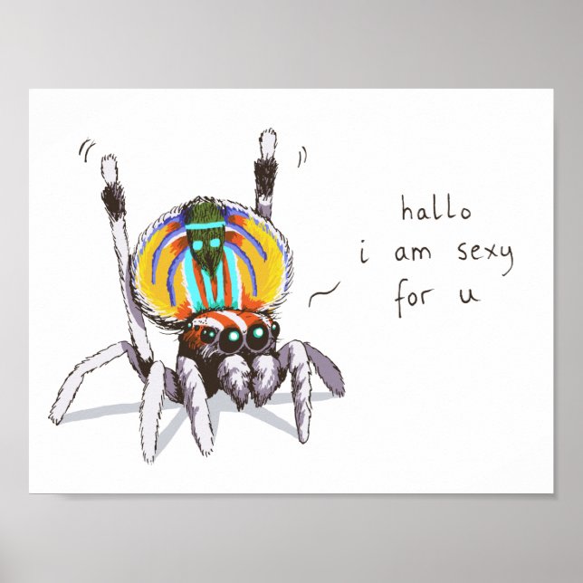 Cute Funny Colourful Peacock Spider Drawing Poster (Front)